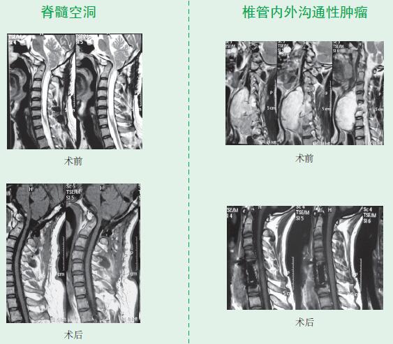 資料