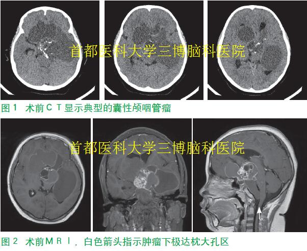 資料