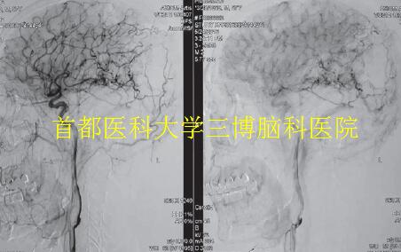 資料