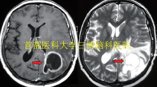 資料