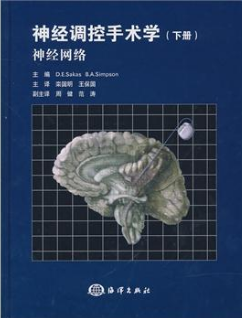 神經(jīng)調(diào)控手術(shù)學(xué)(下冊：神經(jīng)網(wǎng)絡(luò)) 