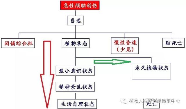 “植物人”真的無法醒過來嗎？這3種方法為昏迷促醒提供更多可能